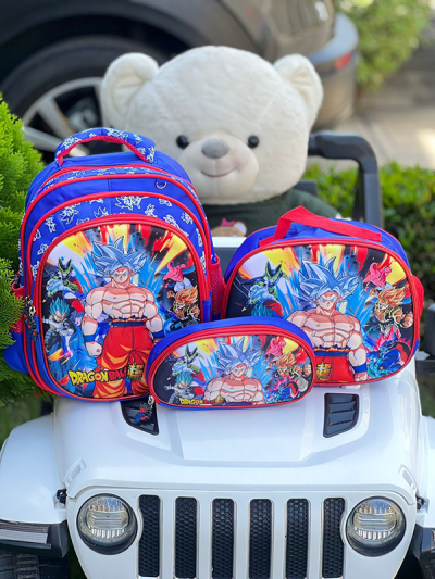 Morral Escolar Para Niño Dragon Ball