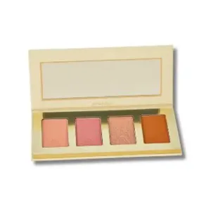 Paleta de Rubor , Bronzer , iluinador Atenea Profesional-1140